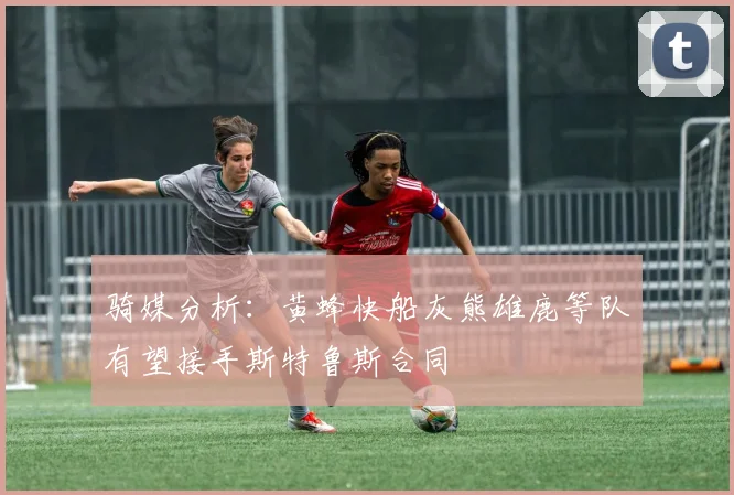 骑媒分析：黄蜂快船灰熊雄鹿等队有望接手斯特鲁斯合同